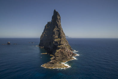 Our Favourite Dive Spot on Lord Howe
