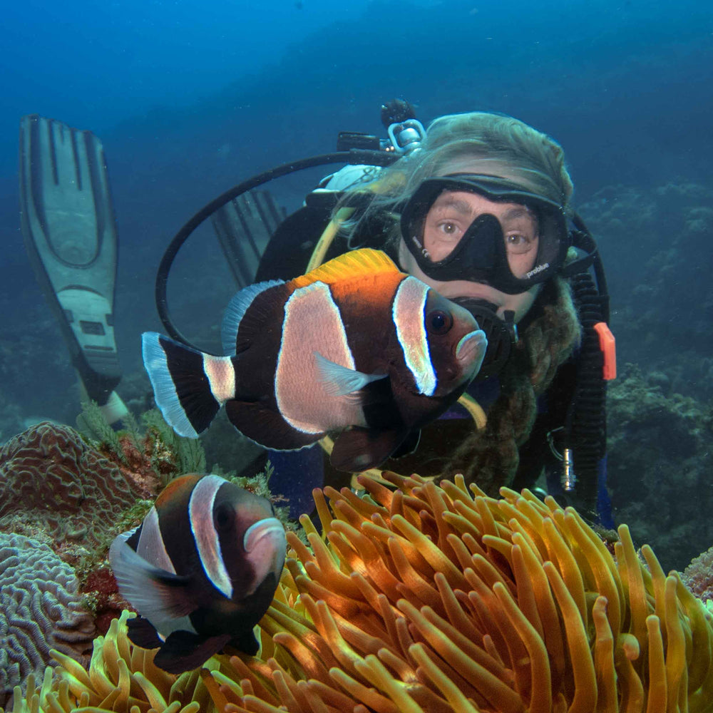 Diving – Dive Lord Howe