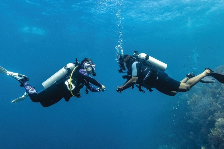Two scuba divers underwater near a coral reef in clear blue water.