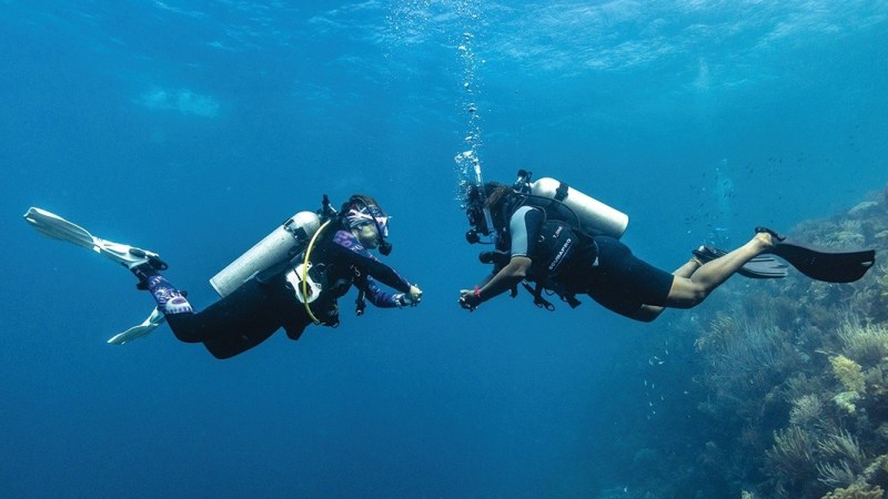 Two scuba divers underwater near a coral reef in clear blue water.