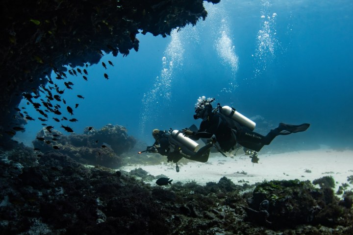 Two scuba divers explore an underwater cave with fish swimming nearby.