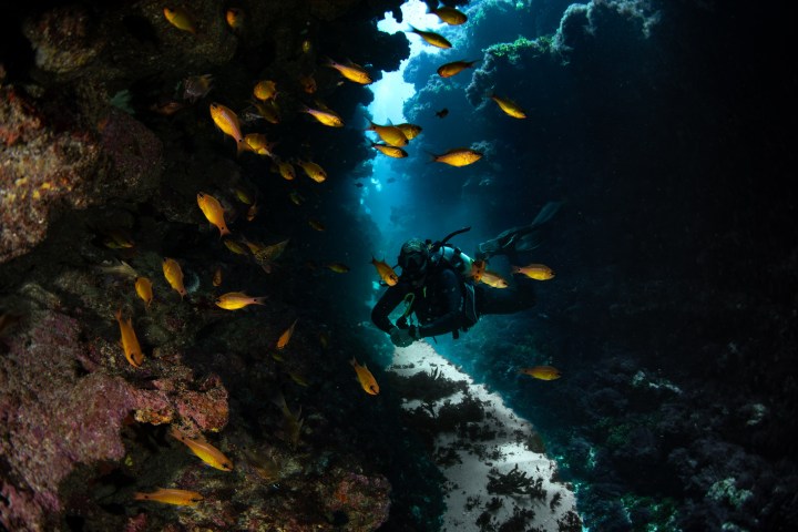 Scuba diver swimming through coral reef tunnel with fish.