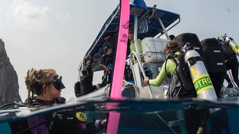 Divers preparing to dive from a boat, with diving gear and pink fins, in a sea setting.