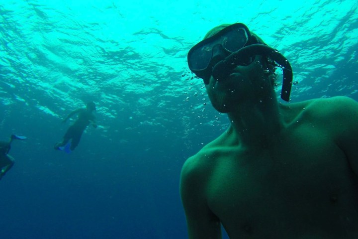 Three people snorkeling underwater with clear blue water above.
