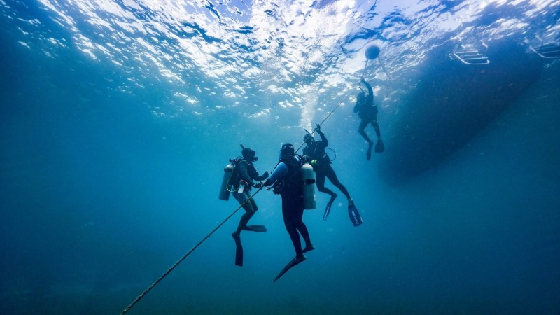 Four divers underwater near a rope leading to a buoy at the water surface.