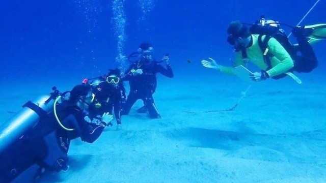 Group of scuba divers underwater, with one pointing at something in the sand.