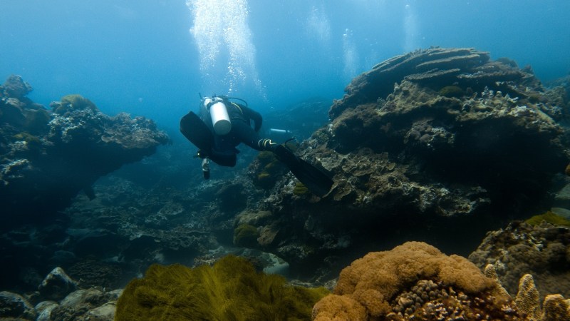 Scuba diver swimming near coral reefs in clear blue water.