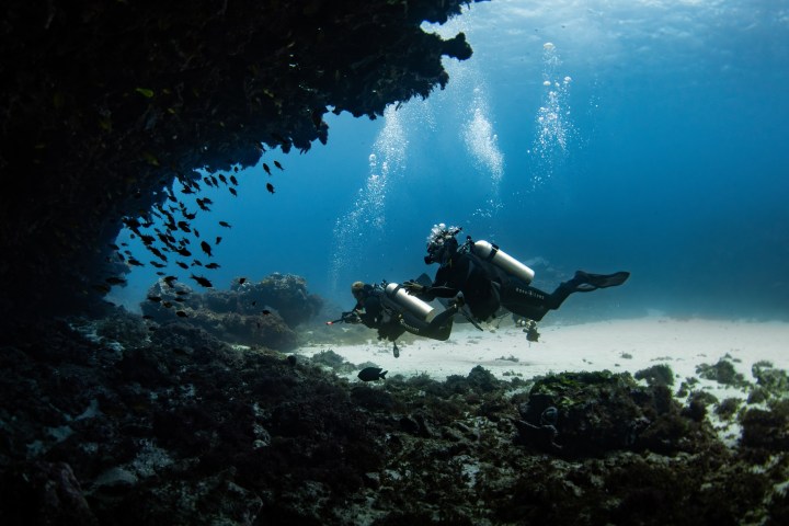 Two scuba divers exploring a coral reef cave with small fish swimming around.