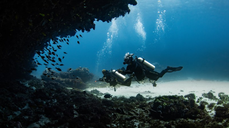 Two scuba divers exploring a coral reef cave with small fish swimming around.