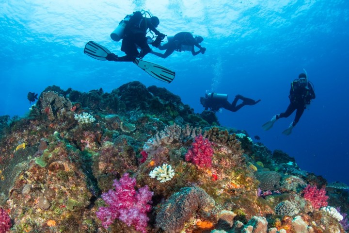 Divers explore a vibrant coral reef underwater, surrounded by colorful marine life.