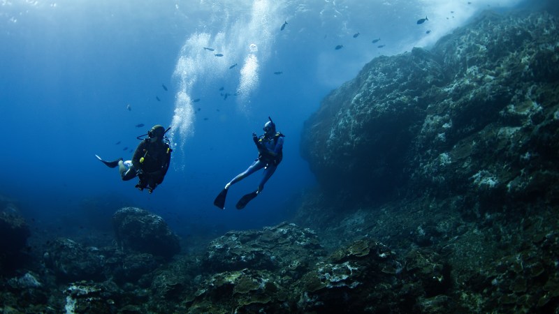 Two scuba divers swimming near rocks and fish in a deep blue ocean.