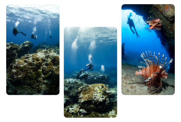 balls pyramid 1 Triptych of divers exploring coral reefs, with lionfish in the rightmost image.
