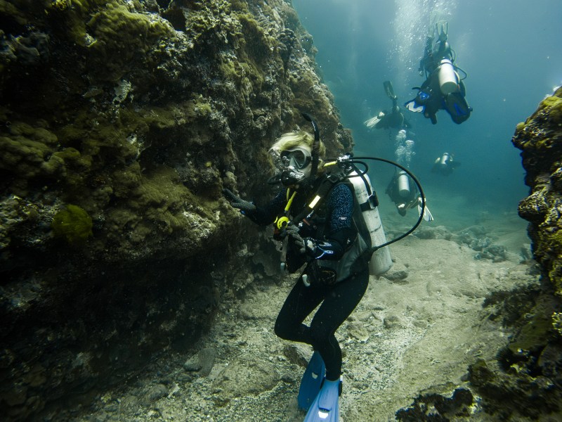 Scuba divers exploring an underwater coral reef, wearing diving gear and blue fins.